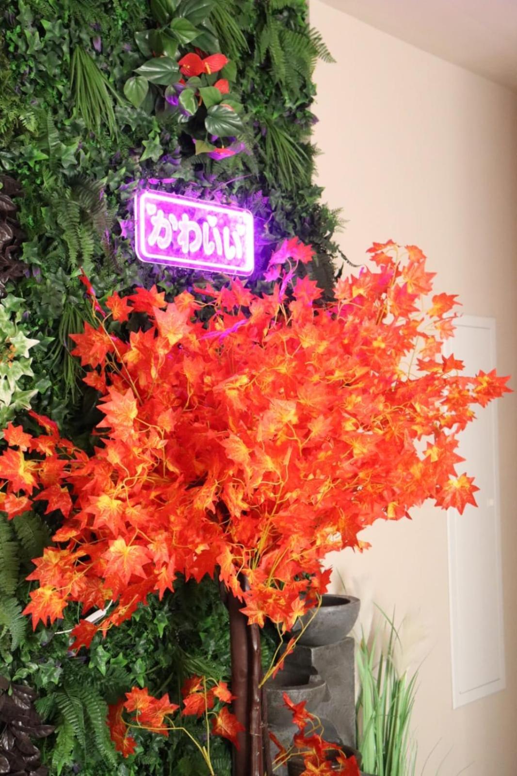Loveroom Japon Avec Balneotherapie Toulon Exterior photo